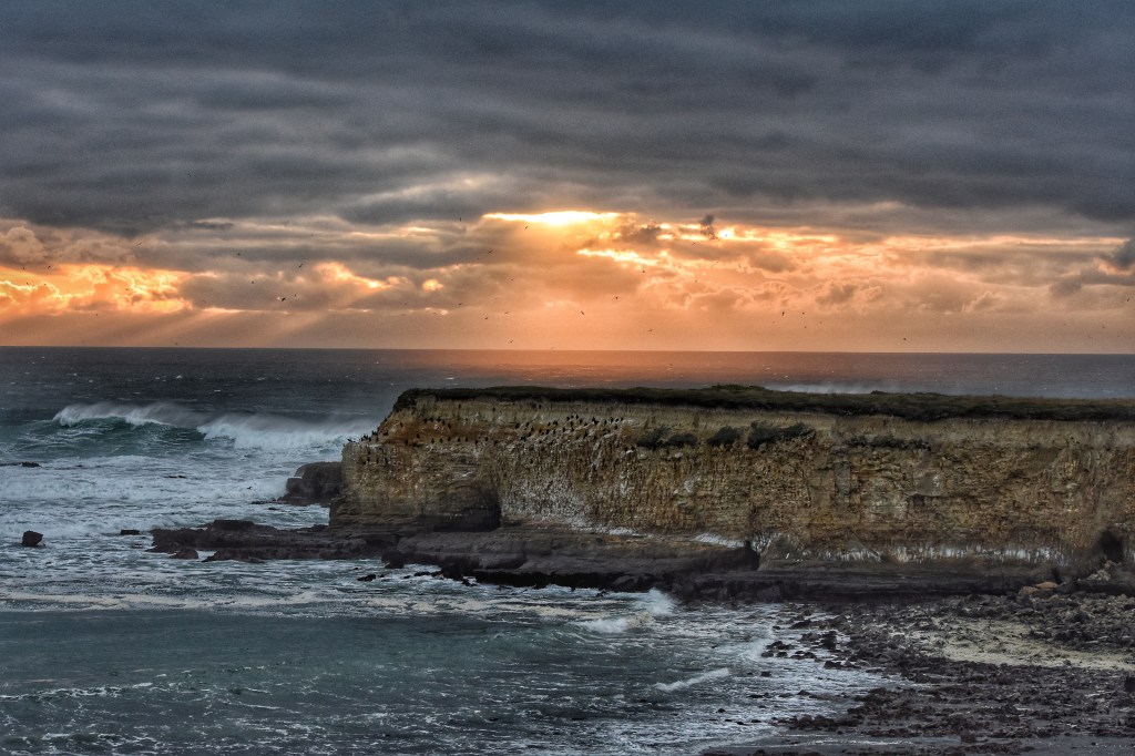 view of the bluffs on the Point Arena-Stornetta Lands