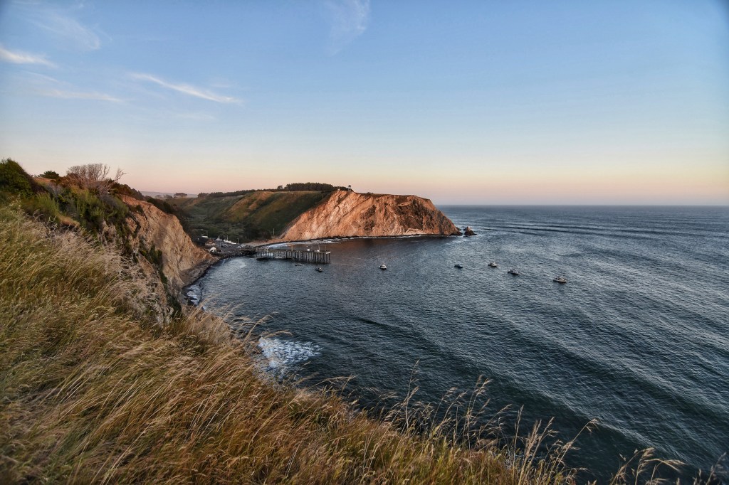 view of the cove from the bluff trail