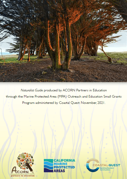 back of naturalist guide