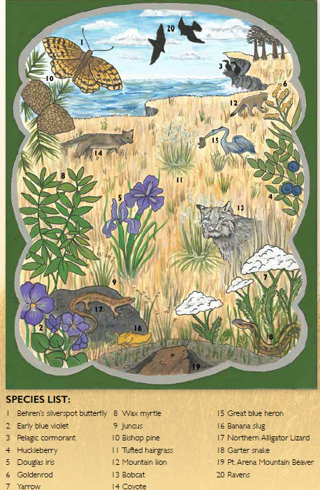 land ecosystem drawing